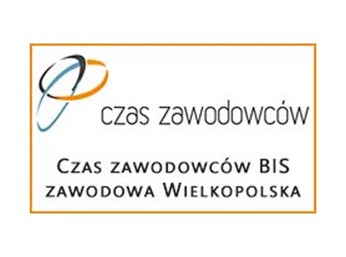 Czas Zawodowców BIS